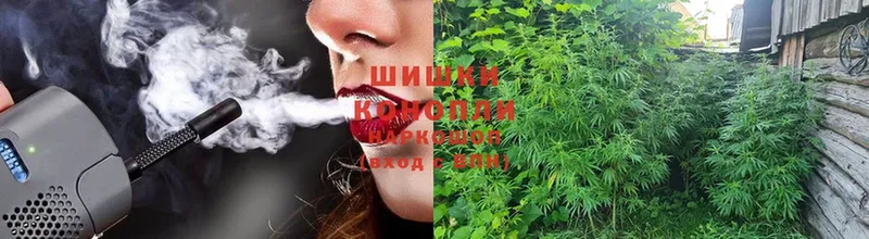 Бошки Шишки White Widow  Дальнереченск 